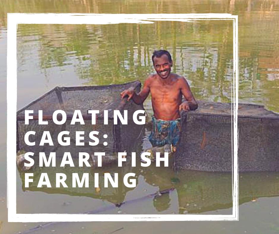 PracticalAnswer's tweet photo. In regions Bangladesh, women "grow" fish in their local ponds using an ingeniously designed cage – and feeding them on nothing more than scraps and #waste
Read more on our document on designing and constructing low-cost #fish cages in #Bangladesh.
https://t.co/8mBq5Ee6Oo https://t.co/3NDzr5joKw