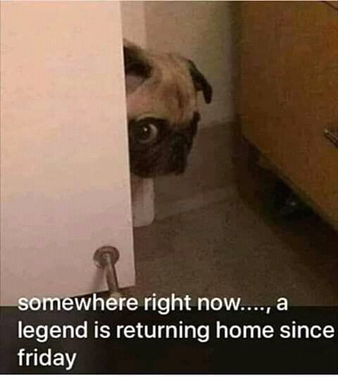 Only the legend that guarded the tomb of Jesus . returning home now