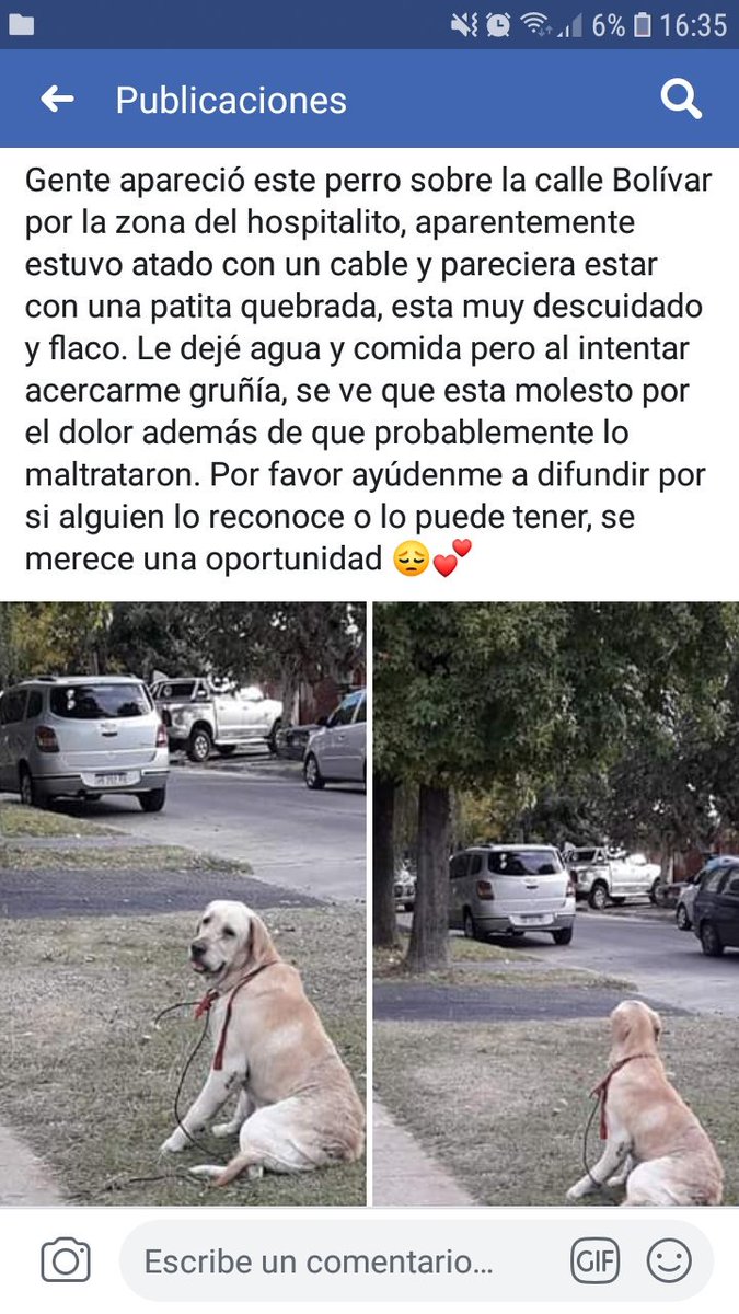 CaarTome's tweet photo. Ayúdenme a difundir por favor!!!😔😔 https://t.co/bTIBtiAfnB