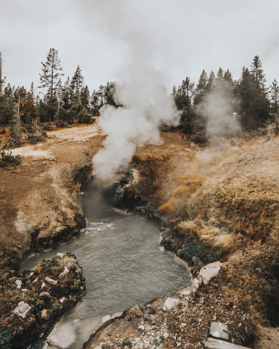 Keegan_Baatz's tweet photo. Happy #EarthDay2019. Start saving the planet with your everyday choices 🌞🌎🍄🌸🌵 https://t.co/FKrTo6vOeb