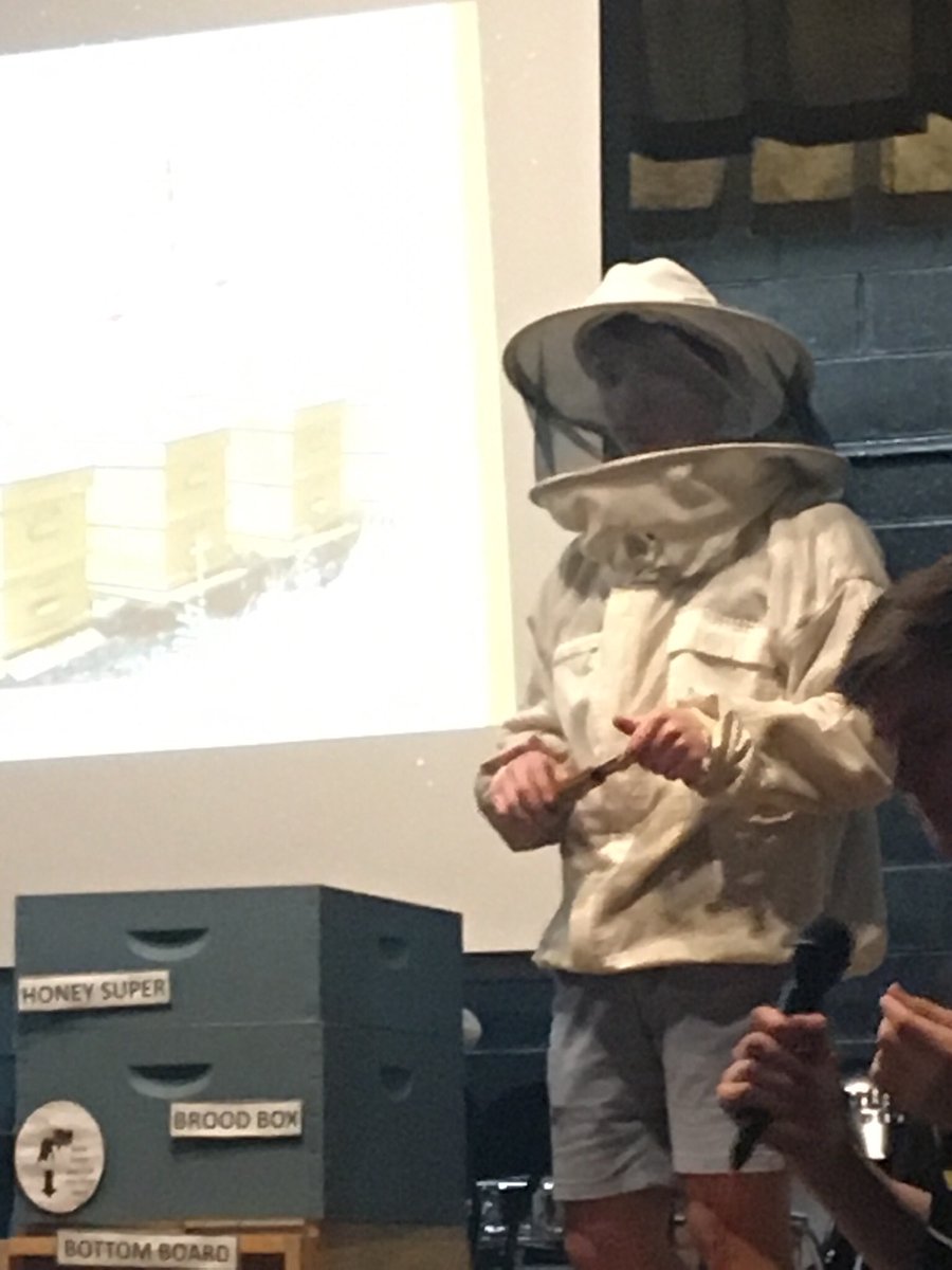 HartMagnetSTEAM's tweet photo. Hart Magnet alumni, the Edwards brothers, were here today! Thank you for the amazing bee presentation! 🐝 We hope you come back next year! https://t.co/RE0wUYrge8