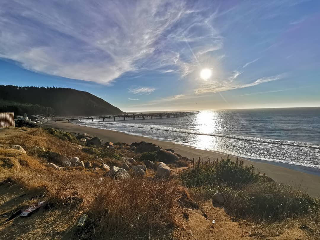 shell_catch tweet media