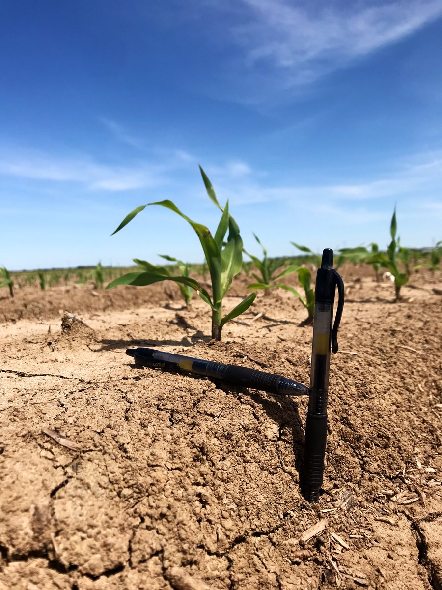 Alex Deason tweet media