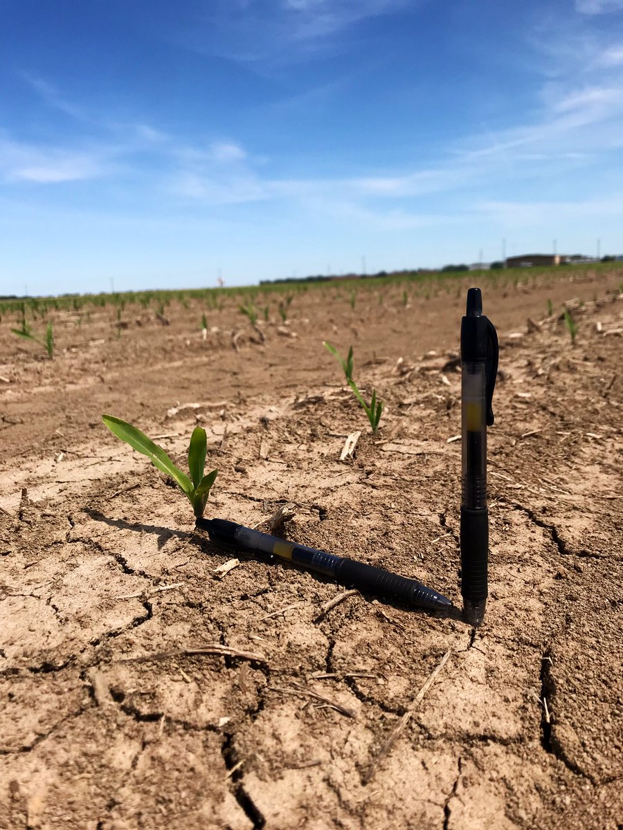 Alex Deason tweet media