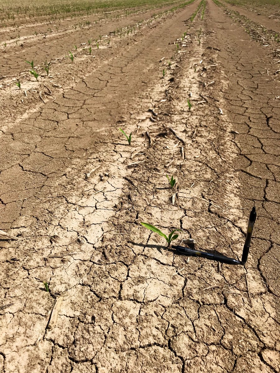 Alex Deason tweet media