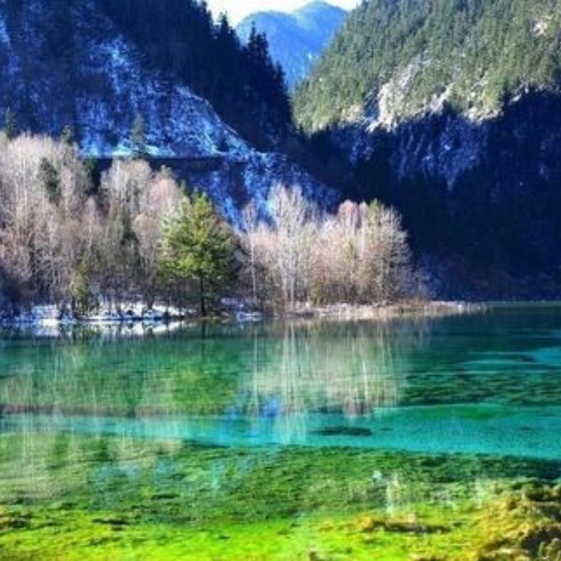 gmeochina's tweet photo. #Knownfor its #forests, #waterfalls, #snowcappedpeaks and #allvarietiesof #naturalbeauty #scenery, #Jiuzhaigou is a #worldfamoustouristdestination. “Jiuzhaigou” is the #legendaryinhabitants of #Tibetanpeople. 📷:@Chengdu_China #studyabroad #semesterabroad #travelinchina https://t.co/TsLW9cE3Kh