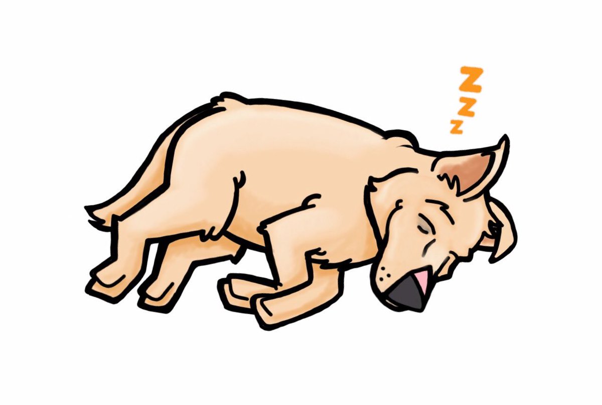 He’s been up since 4am <a href="/BensonWillems/">Benson</a>