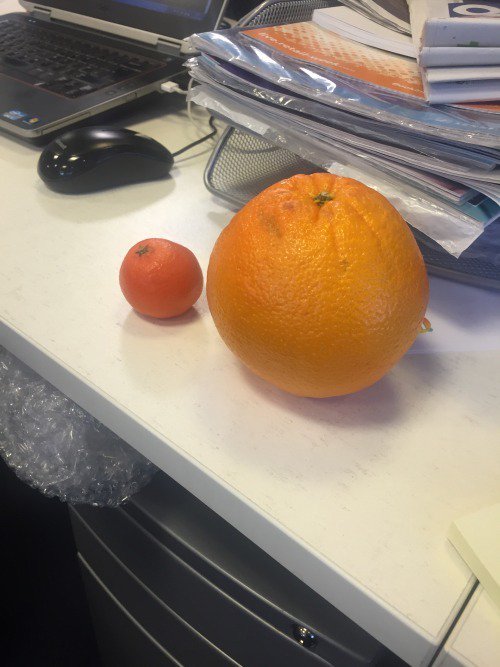 Pod_Life's tweet image. Anna’s orange (left) vs SK’s orange (right). 

An... bit.ly/2vixS1f