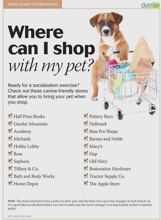 How Much Is It To Train A Dog At Petsmart How Much Do Petsmart Dog Trainers Make