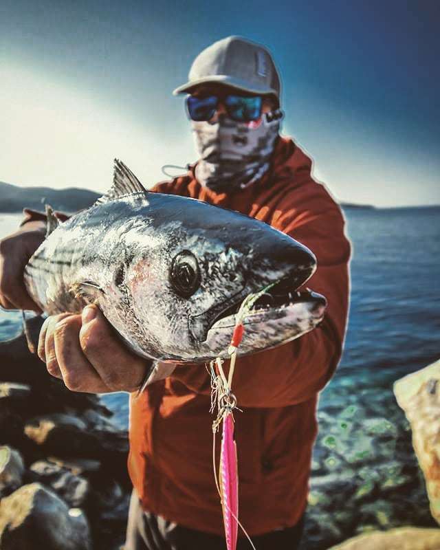 VMC Hooks tweet media