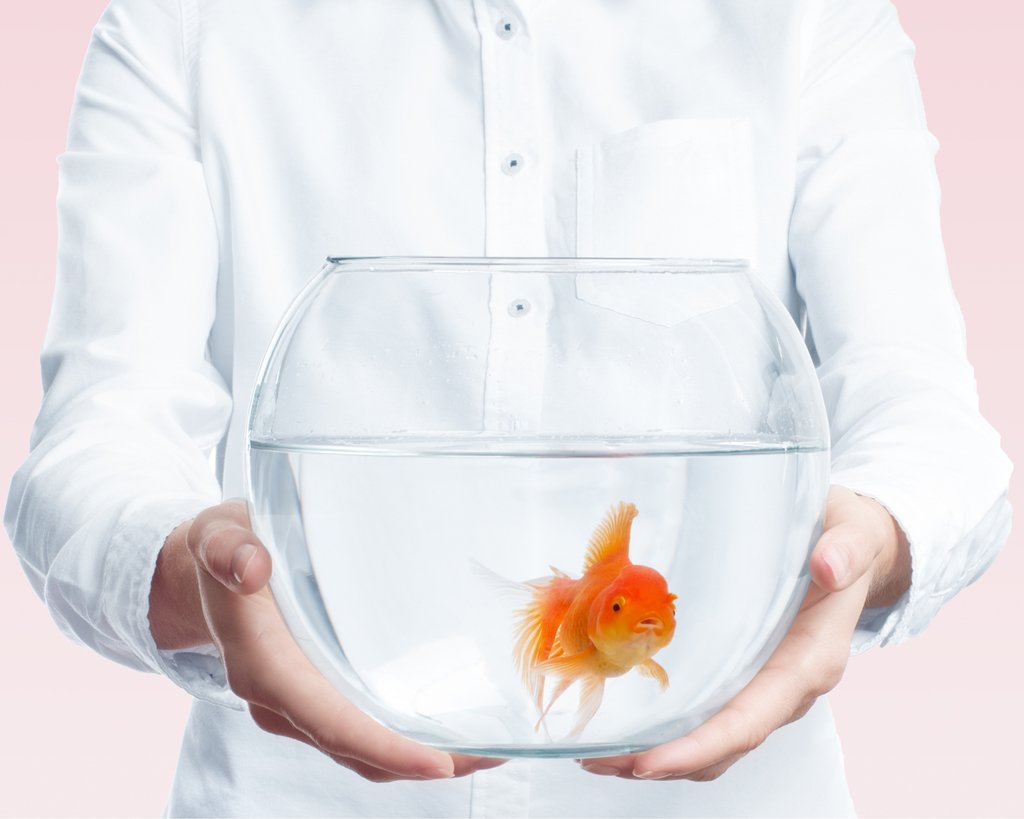 More: instagram.com/weddingvideoaw…