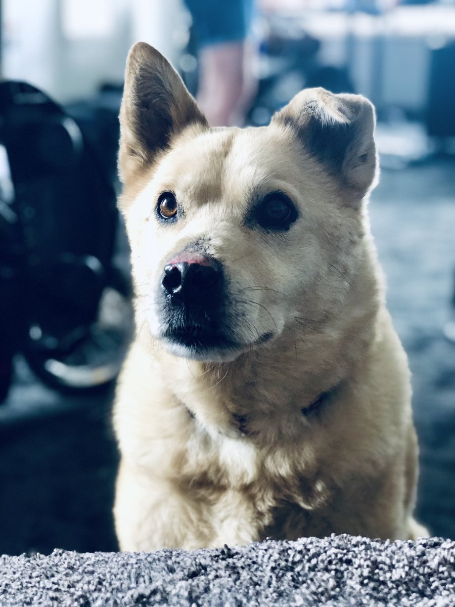 Wherever smell of jerky,
So go <a href="/BensonWillems/">Benson</a>.