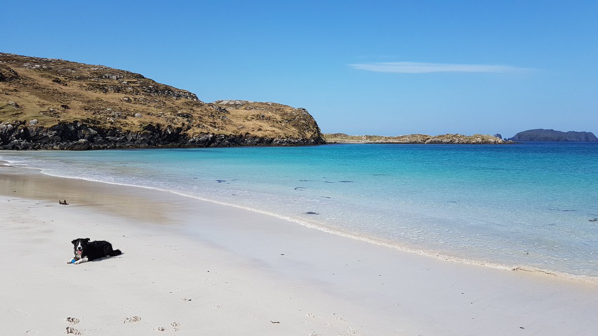 nicillemhoire's tweet photo. @iaindwelch Today's adventure for Mossie was chasing his ball on Bosta Beach, Great Bernera.

#HoorayForDogs #bordercollie #BostaBeach  #OuterHebrides #HebrideanNotCaribbean https://t.co/uuQ7H79o5A