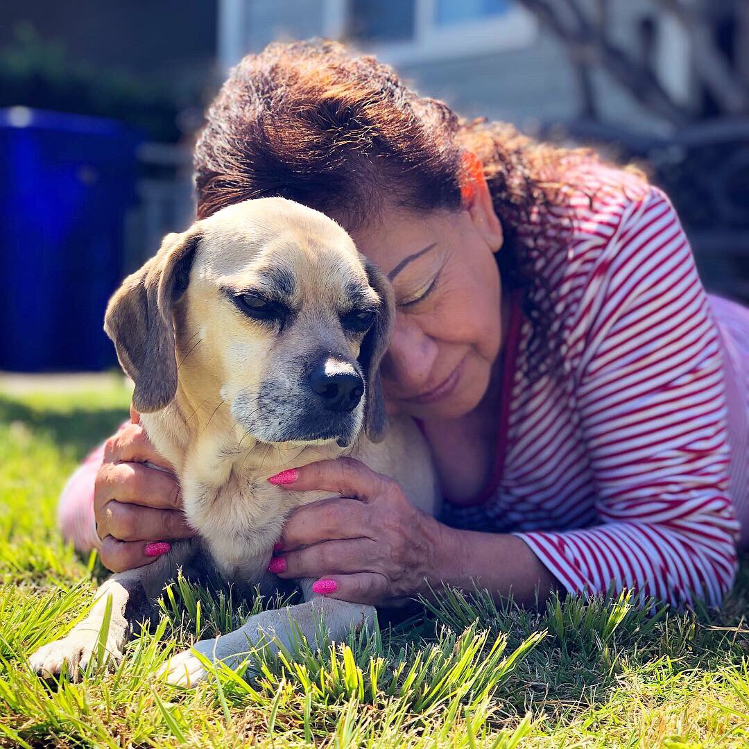 puggle's tweet photo. I was never a pet, I was always a member of the family https://t.co/q9Qpe43BdE