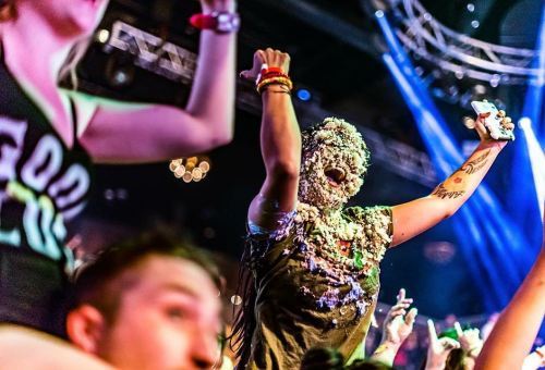 ValleyHype's tweet photo. She got #caked! #BestNightEver

Photo: @raysquared

#steveaoki... https://t.co/zxFlhQhhGO https://t.co/ccIlIIjBKr