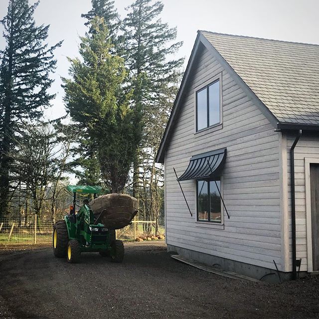 Happy Earth Day! #earthday #pinhewn #bigtreestoday #woodsiding bit.ly/2Xwurju