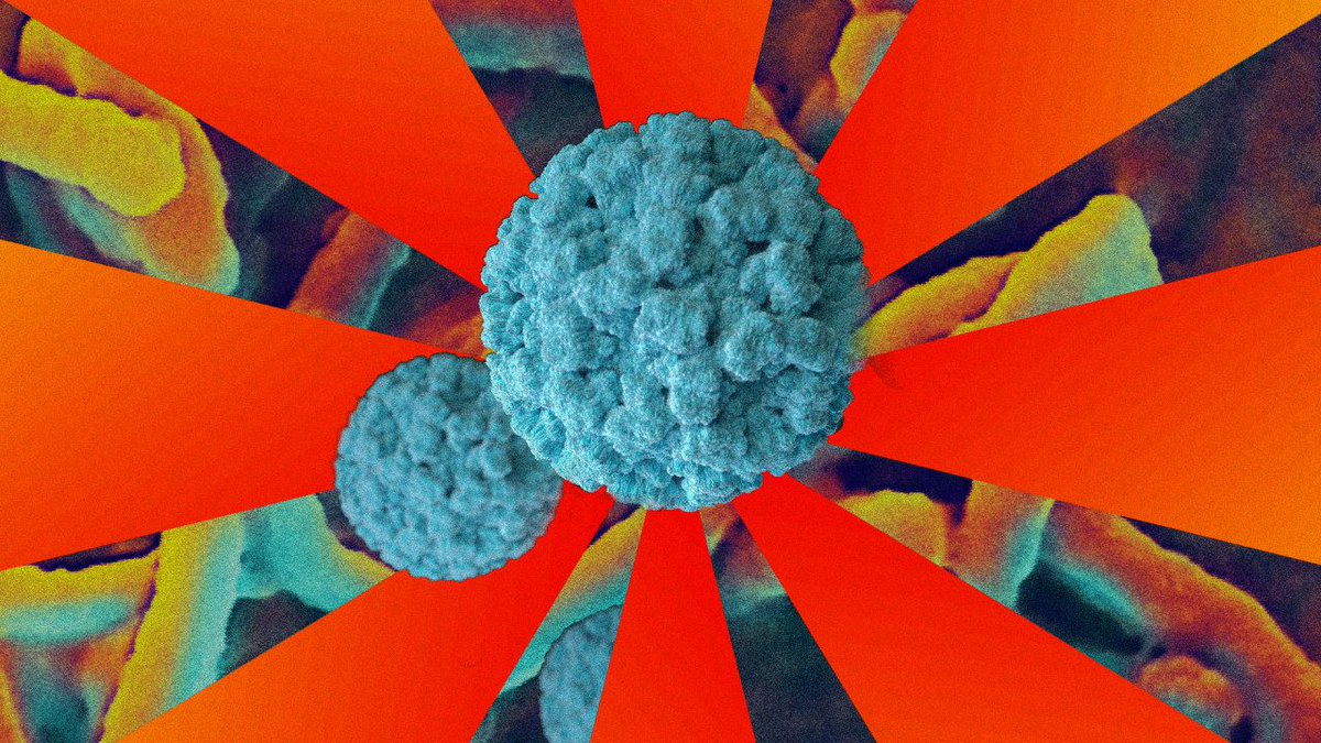 Iris Health tweet media