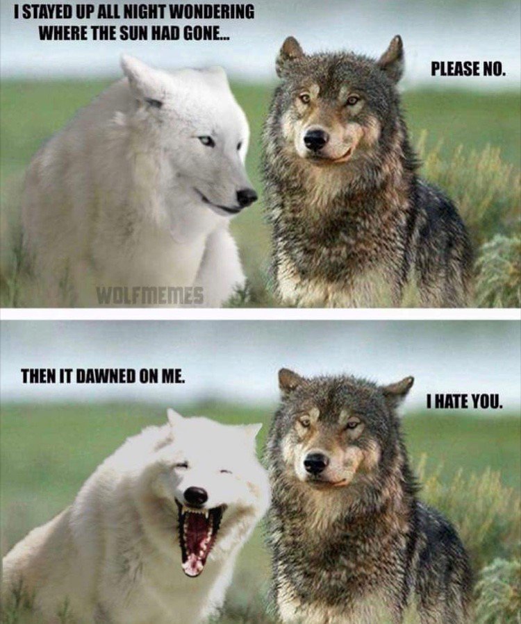 HEAVYBILT's tweet photo. #MemeMonday https://t.co/jUypAOpk3n