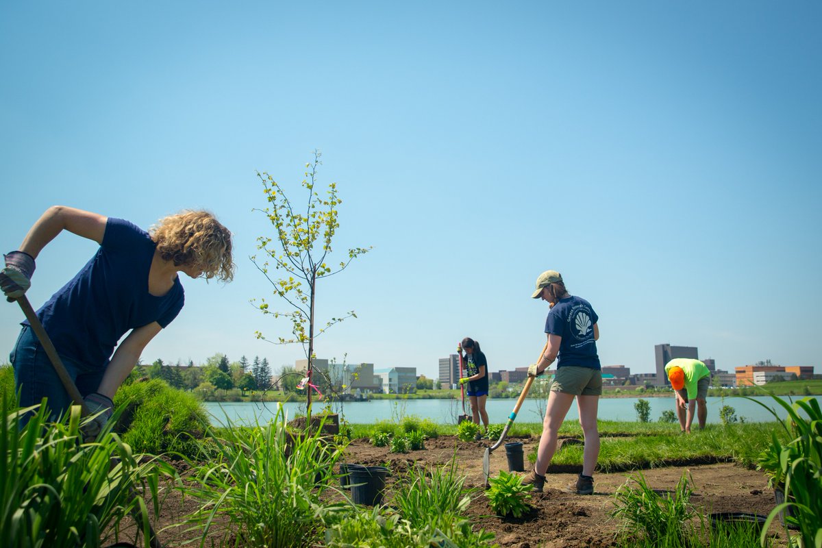 UBuffalo tweet media