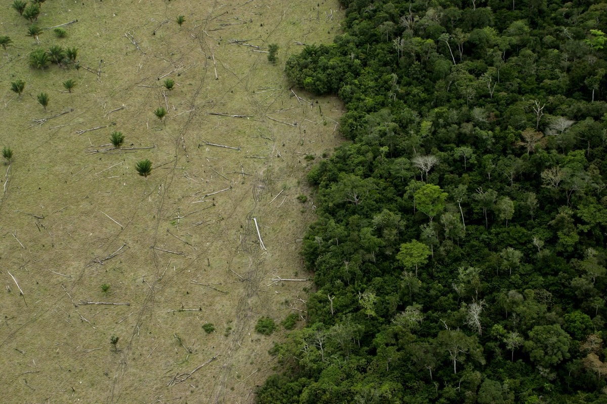 AstoneLilea's tweet photo. It’s important to care about the Earth more than one day a year. #EarthDay19 
Photos from Time, Greenpeace, and New York Times https://t.co/1g6fAZ5SjV