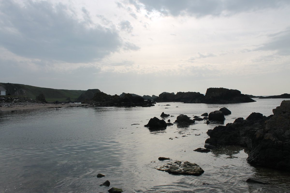 Theseekers🌎🌍🌏 tweet media