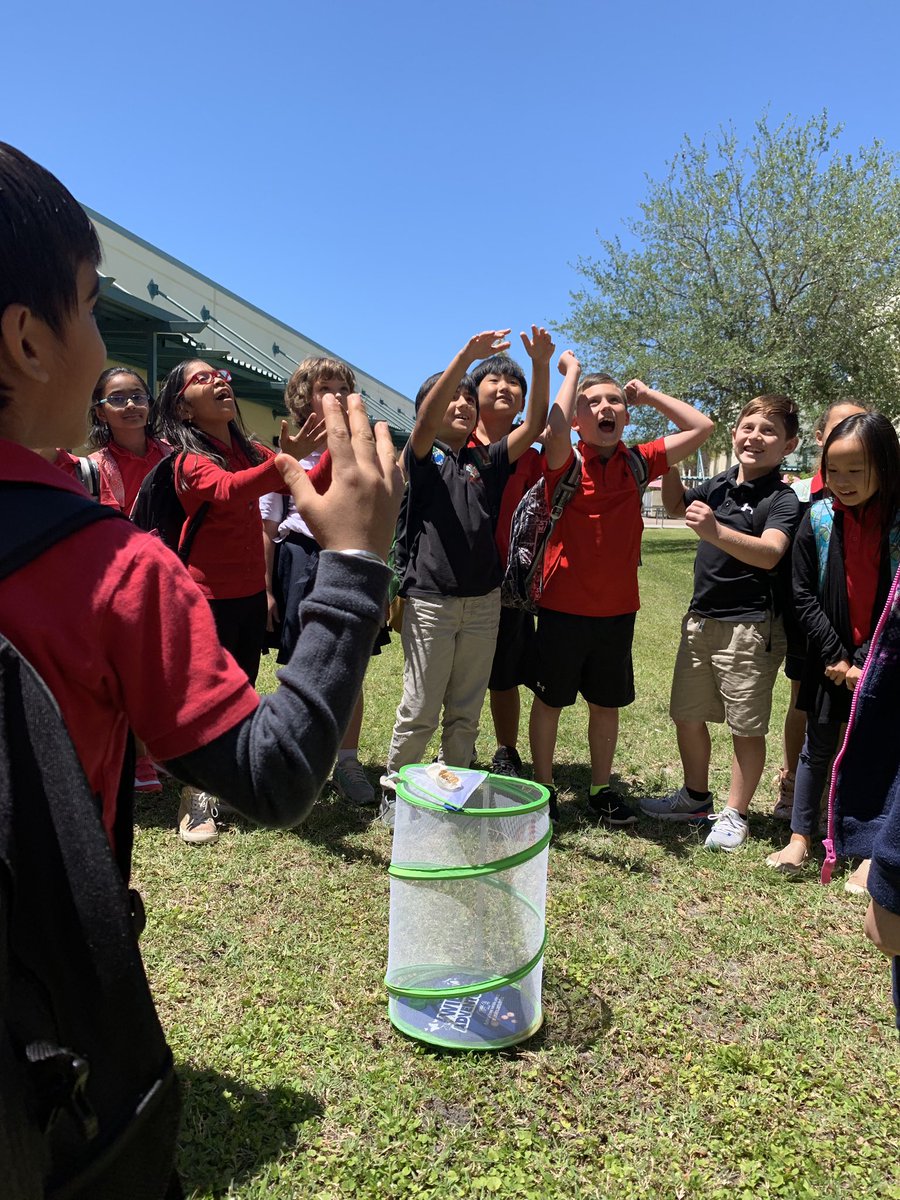 desilvaEDU's tweet photo. The sweetest Ss releasing their butterflies, and design challenges well underway in 2nd and 3rd AGP. These students truly understand collaboration! 😍👍🦋 @HcpsTeach @HCPSArea3 @ChilesElem @Area3STEM https://t.co/yeKRiAZSo9