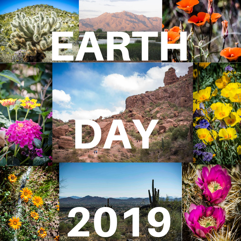 CityofPhoenixAZ's tweet photo. It's #EarthDay! Celebrate Mother Earth and do your part and keep #PHX beautiful. Maybe plant a tree, use water wisely or pick up trash and recycle right? Help do your part to keep our city and planet beautiful. 🌎💧♻️ https://t.co/ow18PfVVP9