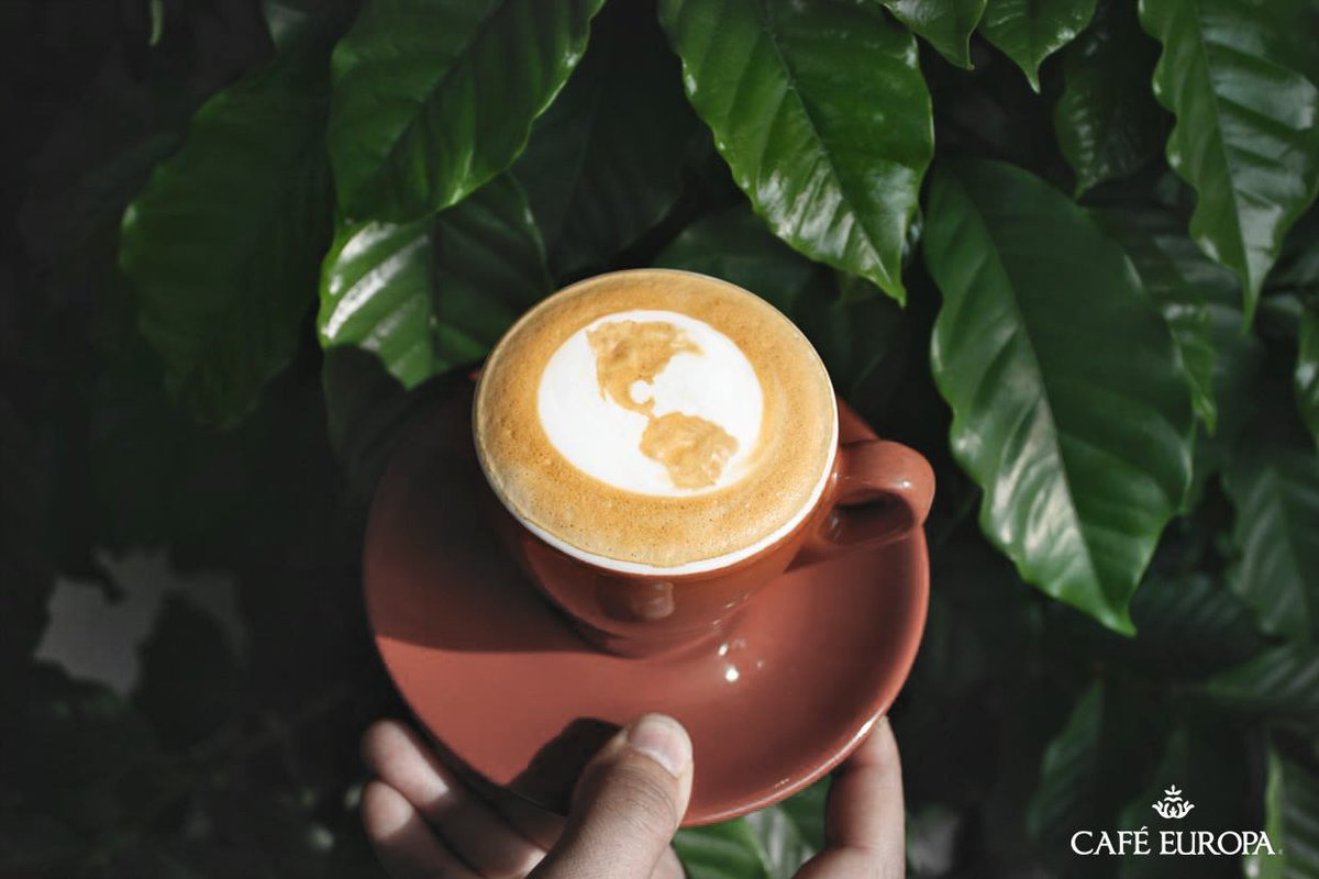 Cuidemos nuestro planeta, es el único donde podemos beber café. ☕✨
#DiaDeLaTierra 🌍