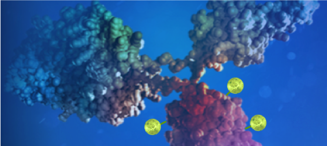 Forbius_'s tweet photo. @Forbius_ Announces First Patient Dosed in Phase 2a Triple Negative Breast Cancer (TNBC) Trial of AVID100, a Novel, Tumor-Selective Anti-EGFR ADC: https://t.co/bvtLIyp0Fy
#Forbius #AVID100 #Austin #Texas #Quebec #Montreal #ClinicalTrials #ClinicalStudies #TNBC #AntiEGFR https://t.co/F8jotfp48N