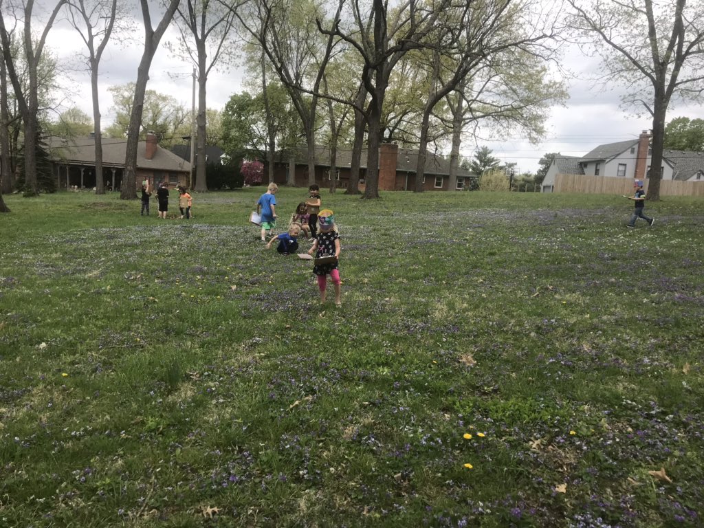 rachelbernalisd's tweet image. Nature Scavenger Hunt for 🌎 Day! @lufflions @isdscience #ISDKinder #ISDStrong