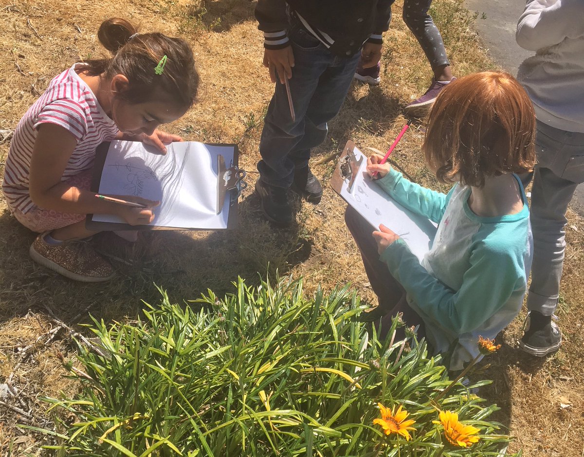 solisteacher's tweet photo. The first step to appreciating our world is to notice the little details. Happy Earth Day! #DMUSD #EarthDay2019 #DMHeights https://t.co/IfAmLRow5w