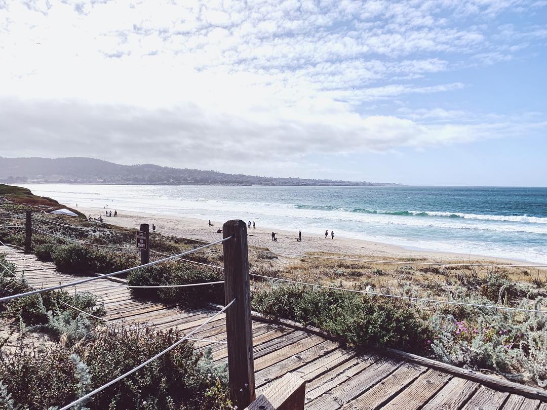 weareHMA's tweet image. #EarthDay Another reason to celebrate our beautiful planet.