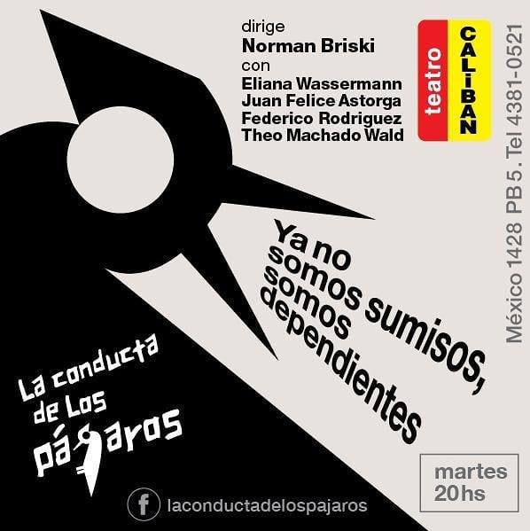 TeatroCaliban's tweet photo. "La conducta de los pájaros" de Vicente Muleiro y Norman Briski 

¡Te esperamos! Martes a las 20 en México 1428, PB5 (CABA)

Actúan: Juan Felice Astorga, Theo Machado Wald, Federico Rodríguez y @eliwasser

Reservas: 4381-0521 / 4384-8163 de 16 a 20 hs o prensacaliban@gmail.com https://t.co/X7vvWbIwDH