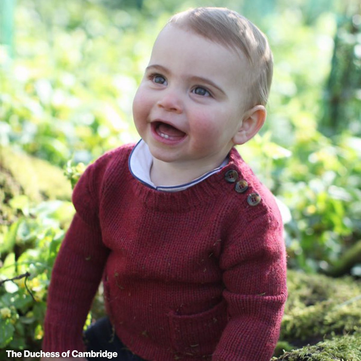 ABC's tweet photo. Prince William and Kate have shared new photos of their youngest child, Prince Louis, ahead of his 1st birthday. https://t.co/PW6ul1p2g9 https://t.co/tqRKr08RBM