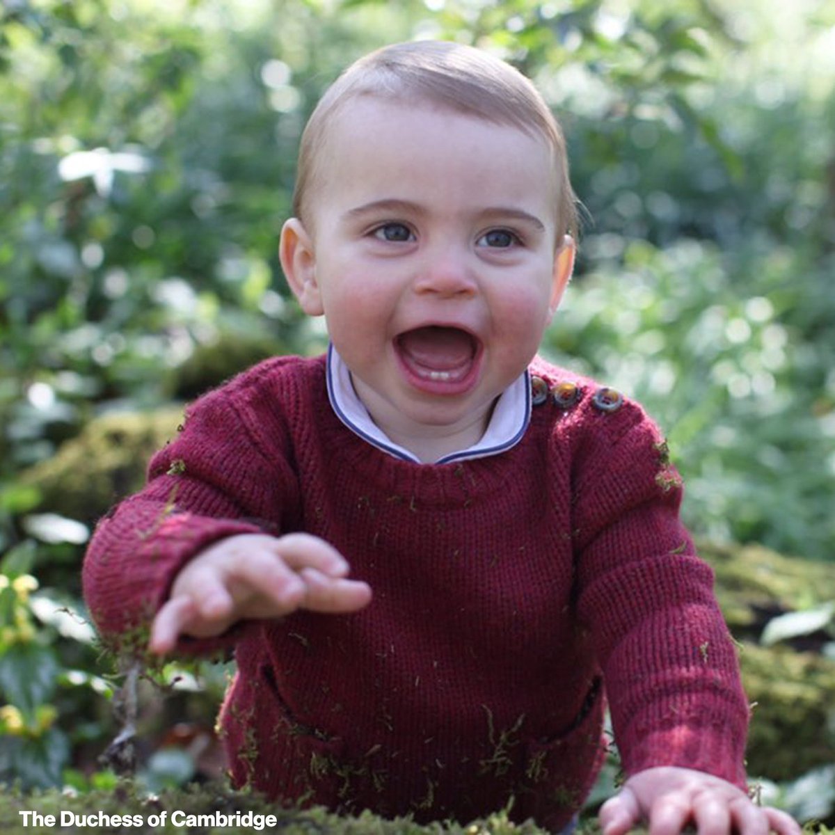 ABC's tweet photo. Prince William and Kate have shared new photos of their youngest child, Prince Louis, ahead of his 1st birthday. https://t.co/PW6ul1p2g9 https://t.co/tqRKr08RBM