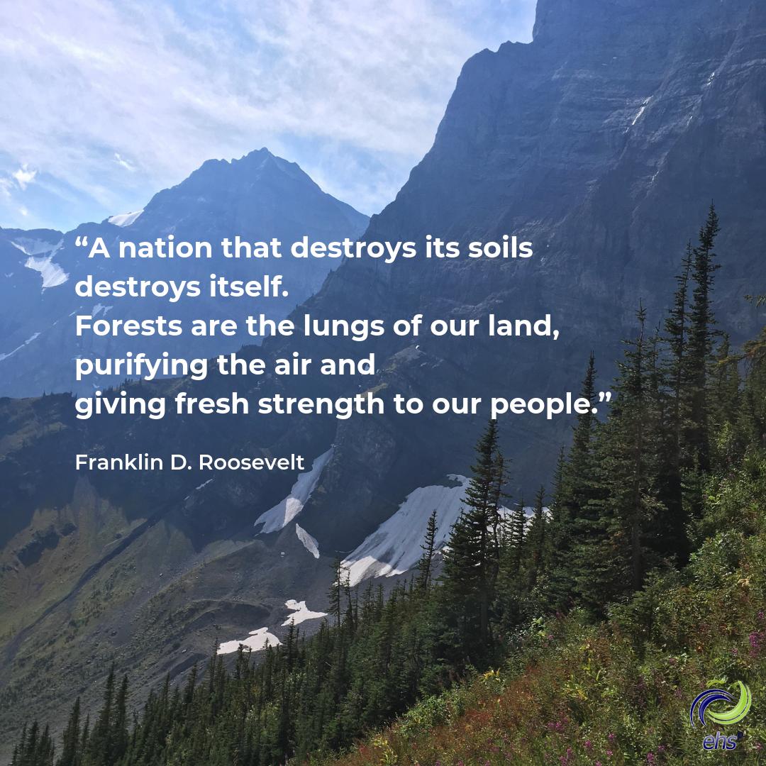 EHS Partnerships Ltd. tweet media