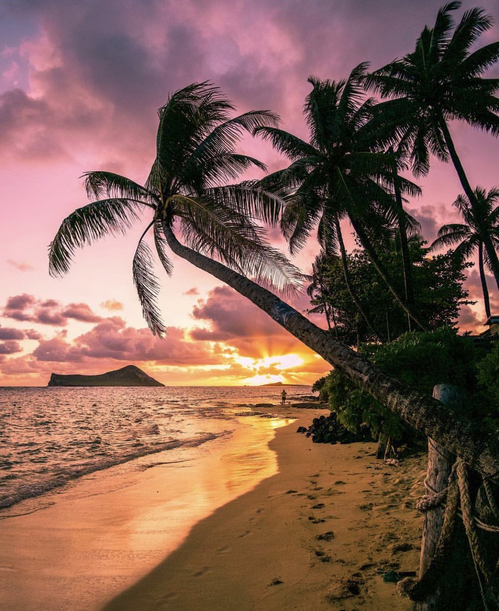 sunsetsaddicts's tweet image. That crazy little sun of a beach