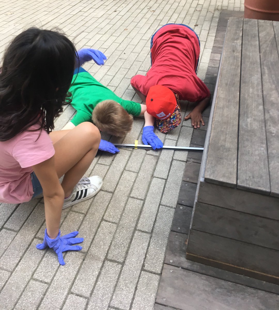 AskAndreaHite's tweet image. My #GoldGroup friends are celebrating #EarthDay by cleaning up the places and spaces we L O V E at ESH! Great for the younger kids to see the 1st &amp;amp; 2nd graders modeling such great community!  #LabExtendedDay #UCLSKids @uchicagolab @ESHGreenTeam