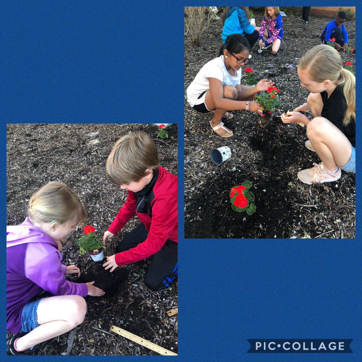 HRE Super Council did a fabulous job planting flowers and picking up trash today in celebration of Earth Day! ⁦<a href="/HRErockets/">Hoosier Road Elem</a>⁩ ⁦@MrsBuck_HRE_KG⁩  ⁦@miamimeagan⁩ ⁦<a href="/Daniel1Teach/">Brooke Daniel</a>⁩