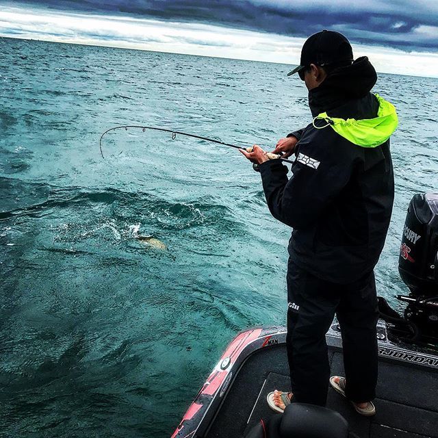 madwalt31's tweet photo. Really miss catching these brown fish right about now 🏈🏈 #cantstopfishing #fishshimano https://t.co/WjQ6IJQTuE https://t.co/BoKC6MSjOj
