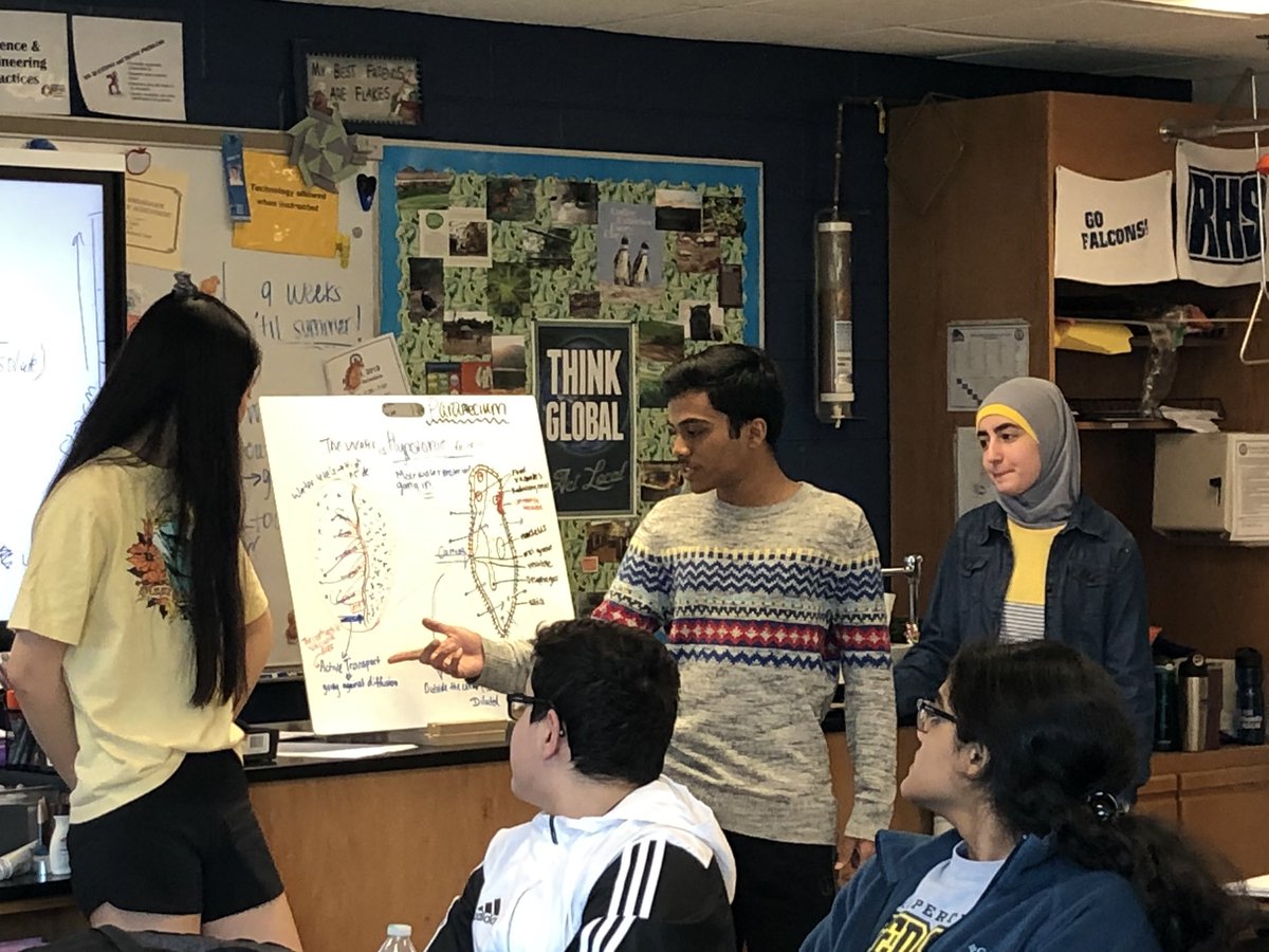 MrsRosellRHS's tweet photo. Wrapping up our unit on cell transport... models galore! Eggs, paramecium, salads, death by water. Nice work #rhsblock https://t.co/SxnwmVdQDm