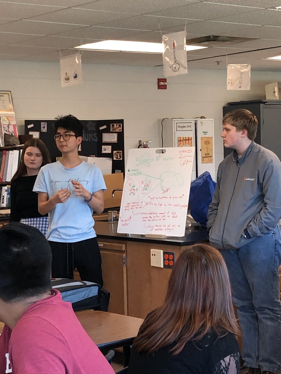 MrsRosellRHS's tweet photo. Wrapping up our unit on cell transport... models galore! Eggs, paramecium, salads, death by water. Nice work #rhsblock https://t.co/SxnwmVdQDm