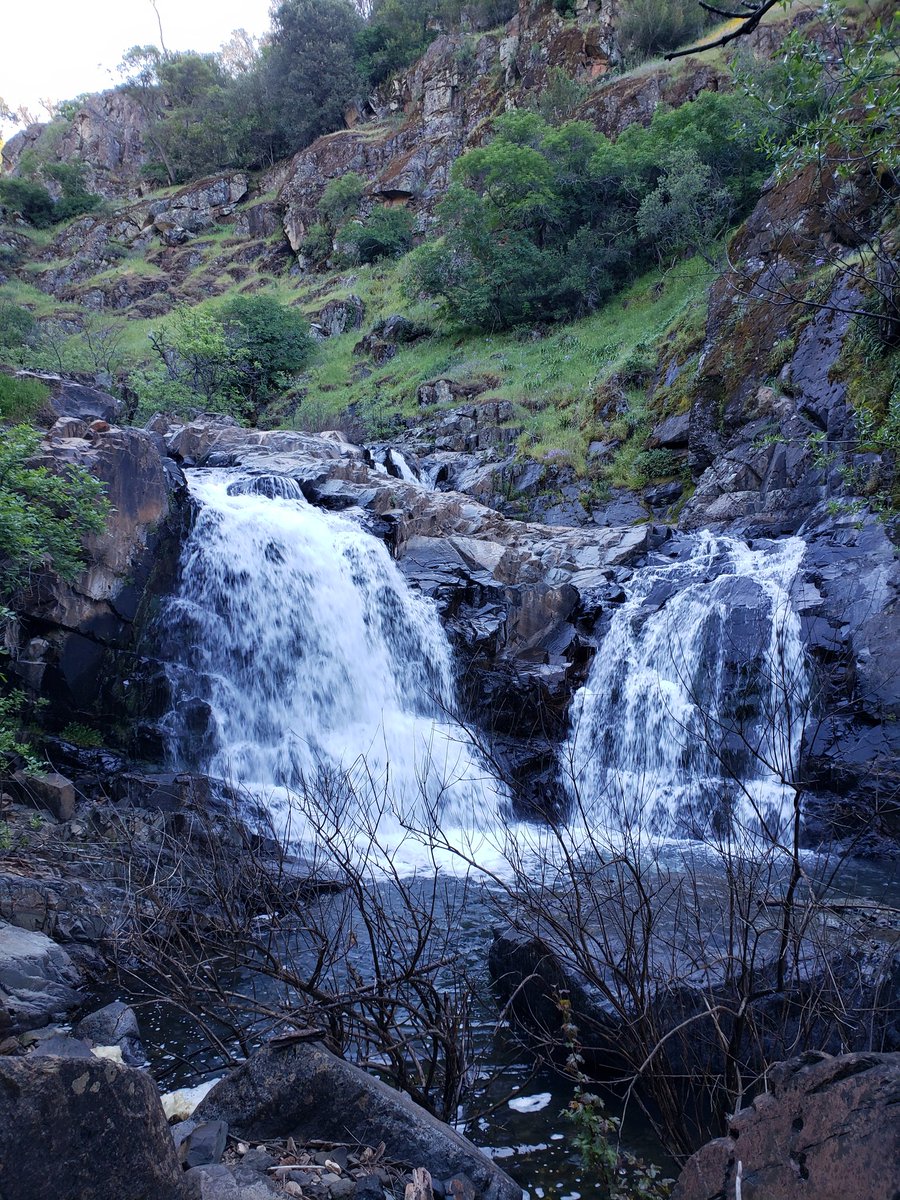 1 of 14 (14!) salamanders I saw on my hike yesterday to this beautiful waterfall destination. I'm so fortunate to have lovely hiking like this so near my house.