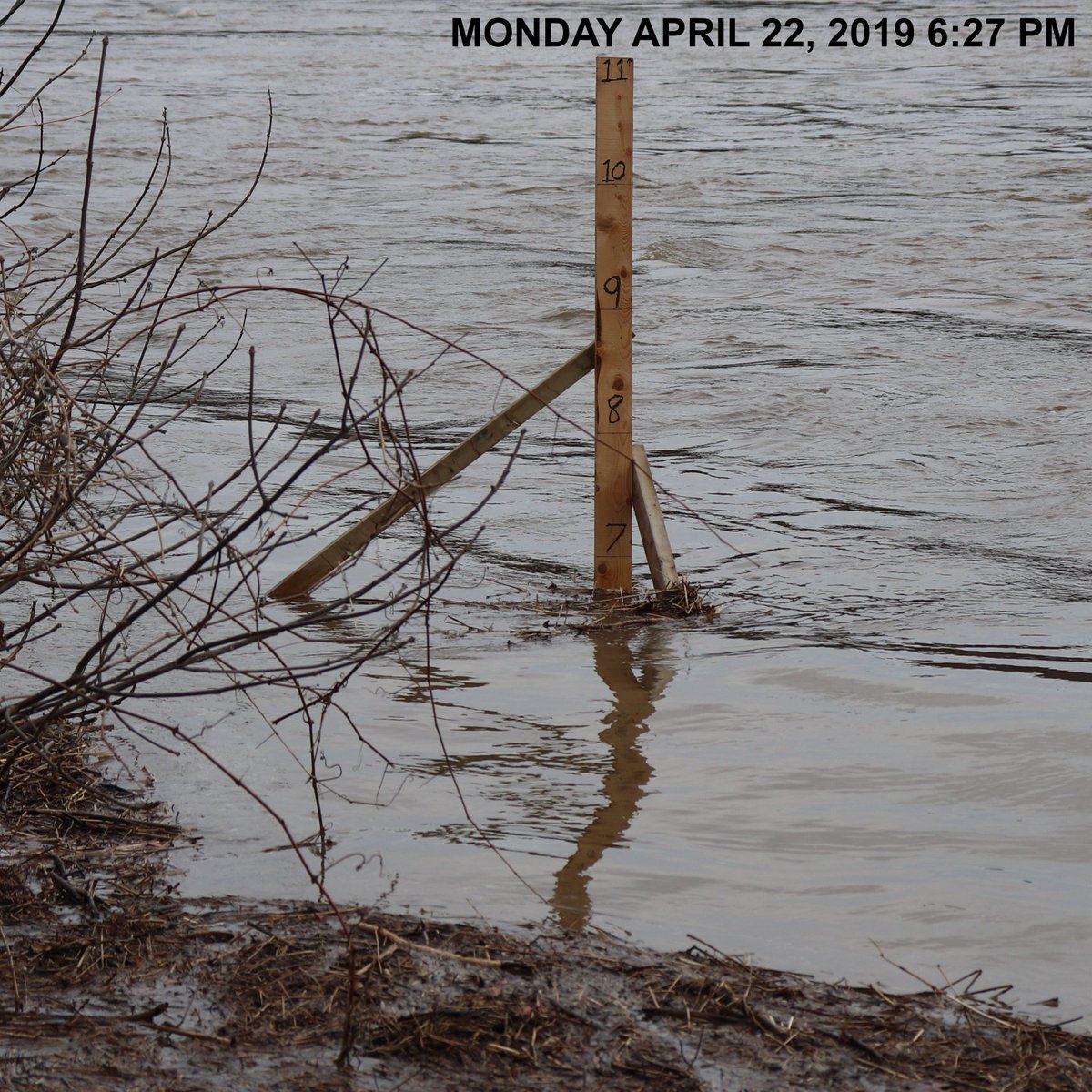 The river is on the rise today as predicted by EMO. We are measuring 6'-8" this evening (a rise of over 8' since Friday). There is water over the 105 just south of the farm. We will have to wait and see how much more it may rise. Stay safe.
#riverwatch2019 #nbflood2019
