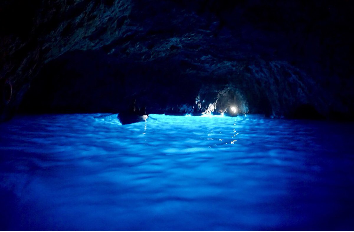 Mia Ersoff tweet media