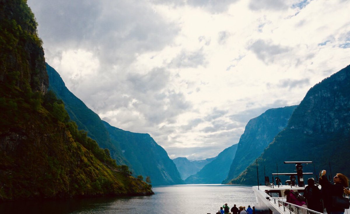 Mia Ersoff tweet media