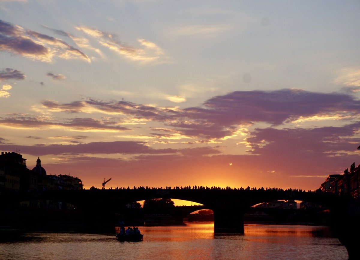 Mia Ersoff tweet media