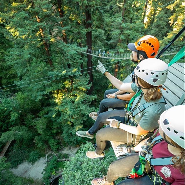 MH_Adventures's tweet photo. Happy Earth Day! Appreciate nature today in all you do, say and experience.
#earthday #adventure #explore #nature #challengeyourself #optoutside #redwoods #takeahike #takeatrip #daytrip #destination #journey #active #thegreatoutdoors #stufftodo #familyf… https://t.co/4p8Td9MAmK https://t.co/gbYZjogoU8