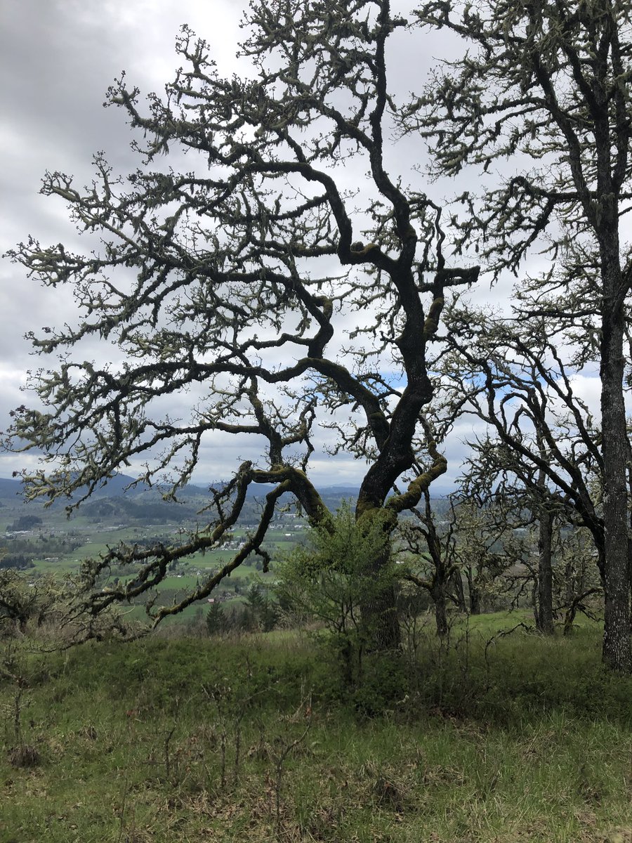 AuthorCBauer's tweet photo. “Nature does not hurry, yet everything is accomplished.” - Loa Tzu #EarthDay #MotherEarth #AbsolutPlanet https://t.co/dMfcfCK0yS