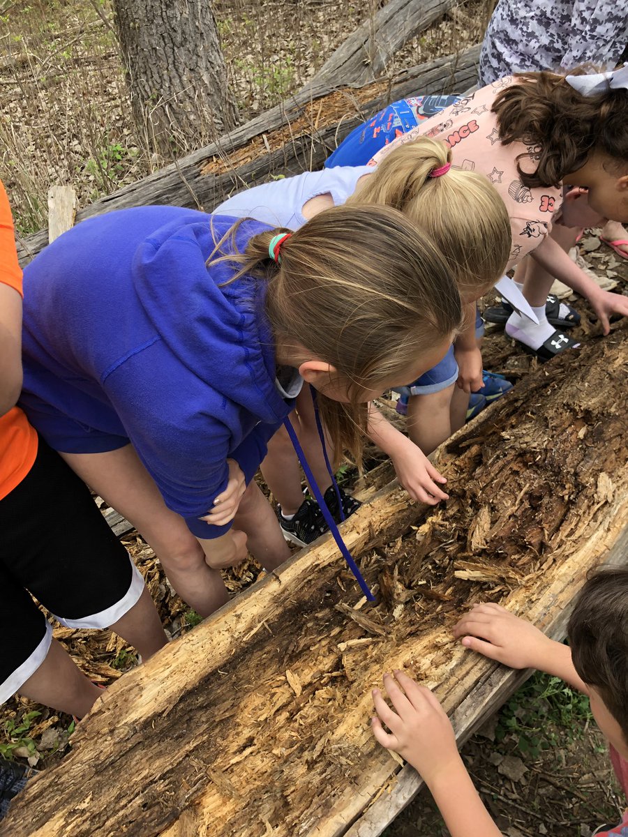 MsSweeniesClass's tweet photo. More field trip photos! #HeusnerPRIDE #why305 https://t.co/589LQtDG7i
